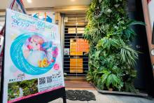 梅雨時期は『Summer World 2019』作品展示へGO♪