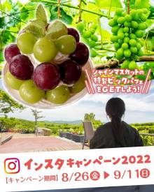 インスタキャンペーン2022/8/26～9/11