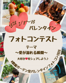バレンタインフォトコン