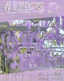 【春のご褒美農園体験】