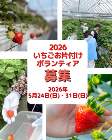 いちごのお片付けボランティア参加者募集