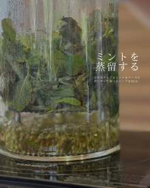 ハーブ蒸留体験