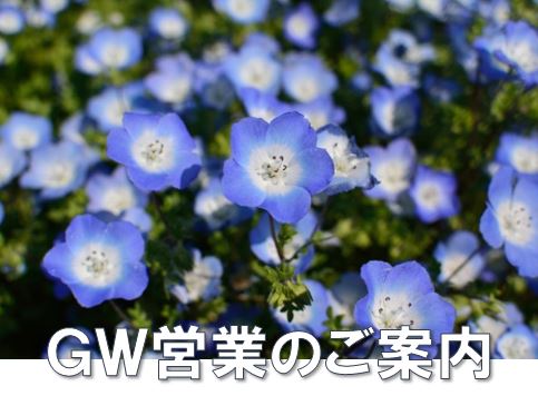 ゴールデンウィーク営業案内(4/30のみ休園)