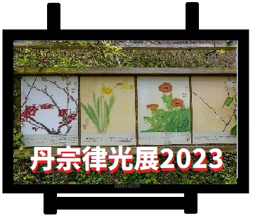 丹宗律光企画展2023～阿久根が生んだ植物画家その作品とガーデン