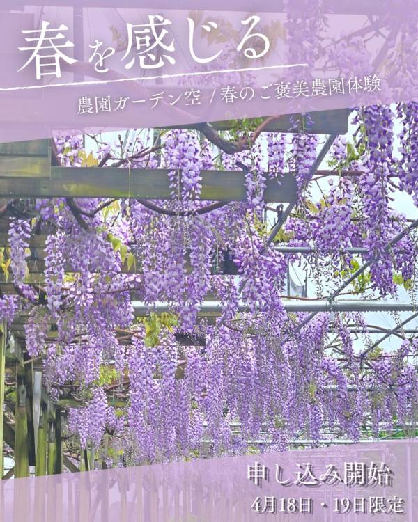 【春のご褒美農園体験】