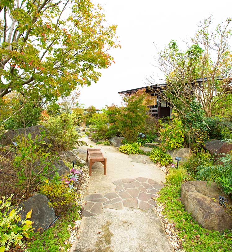 ひみつの花園 公式 農園ガーデン空 ひみつの花園 コモレビ農園 テラスカフェ空 ここマルシェ