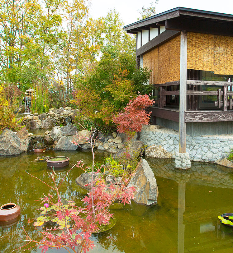 ひみつの花園