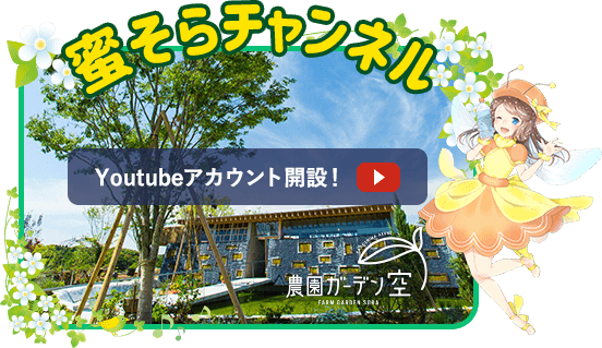 公式 農園ガーデン空 ひみつの花園 コモレビ農園 テラスカフェ空 ここマルシェ 公式 農園ガーデン空 ひみつの花園 コモレビ農園 テラスカフェ空 ここマルシェ