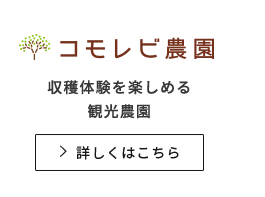 コモレビ農園 収穫体験を楽しめる観光農園