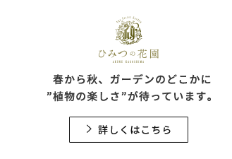 ひみつの花園 春から秋、ガーデンのどこかに”植物の楽しさ”が待っています