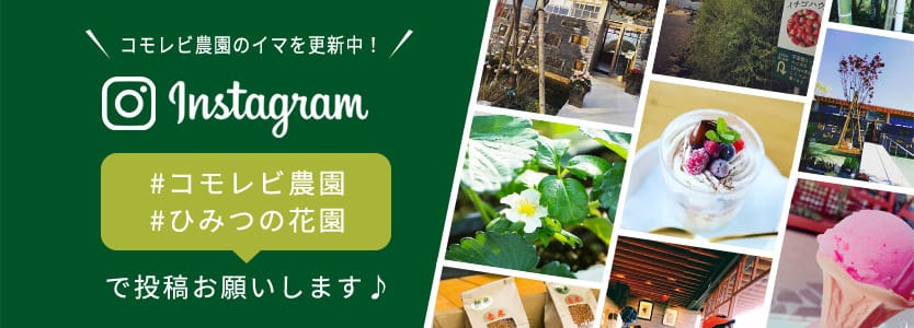 コモレビ農園のイマを更新中！ Instagram